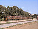 Red Hen,DMU,North Adelaide