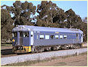 Bluebird,North Adelaide