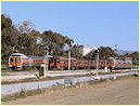 Jumbo,Red Hen,DMU,North Adelaide