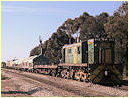 842,North Adelaide