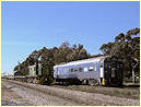 842, Bluebird,DMU,North Adelaide