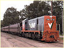 T393,Swan Hill