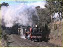 R707,Macedon