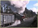 R707,Macedon