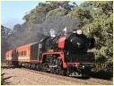 R707,Warrenheip