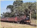 D3 639,Coldstream
