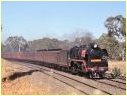 R761,Ravenswood