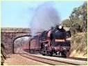 R761,Elphinstone