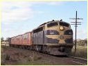 B75,Bungaree