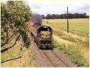 X33,Ballan,Gordon
