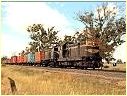 T365,Y164,Elmore