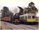 K190,Diamond Creek