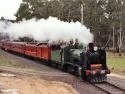 K190,Hurstbridge