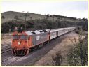 G516,Wandong