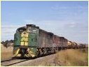 932,Ararat