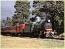 K190,Coldstream