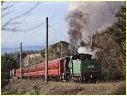 K190,Lilydale