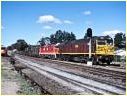 42205,Wingello