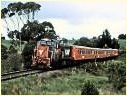 P19,Ruby,Leongatha
