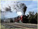R707,Heathcote Junction
