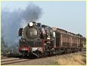 R707,Riddels Creek