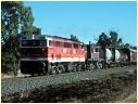 4477,Culcairn