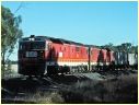8159,Culcairn