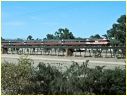 XPT,Wagga Wagga