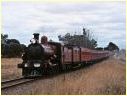 D3 639,Willaura