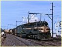 C501,BL29,Sunshine