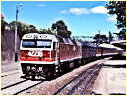 42216,Moss Vale