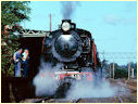 J515,Seymour