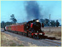 J515,Nagambie