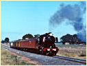 J515,Nagambie