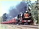 R761,Macedon