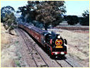 R761,Ravenswood