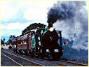 K163,Riddles Creek