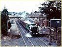 K163,Woodend