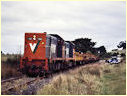T400,H1,Hoddle