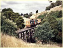 T400,H1,Koonwarra