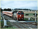 N464,Kyneton