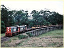 T382,P14,Koonwarra