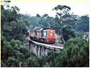 T382,P14,Koonwarra