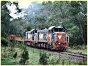 T382,P14,Fish Creek