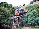 T382,P14,Koonwarra