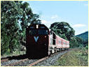 N459,Macedon