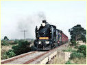 K190,K183,Koo Wee Rup