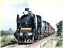 K190,K183,Koo Wee Rup