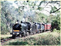 K190,K183,Nyora