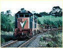 T400,T409,Leongatha